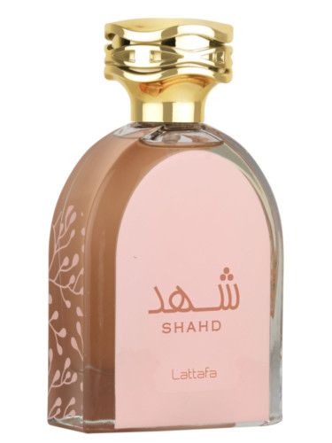 mujeres shahad