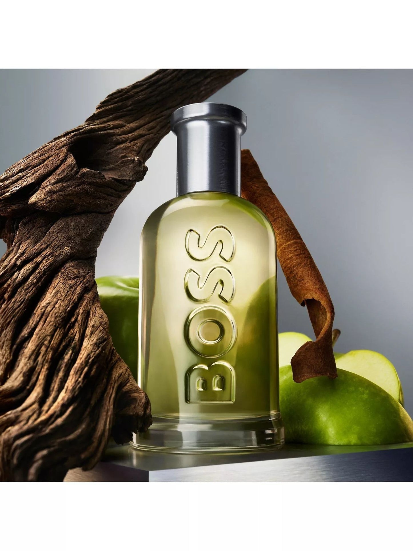 Hugo Boss Men