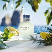 D&G Azul Claro Hombre