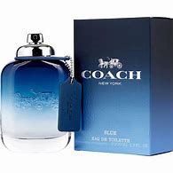 Coach New York Blush