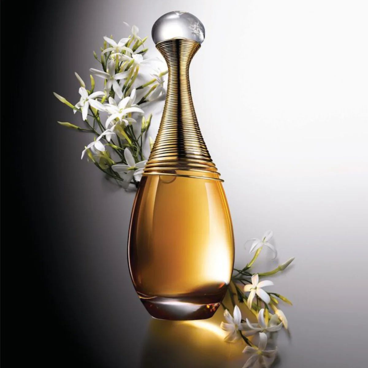 J’adore Christian Dior