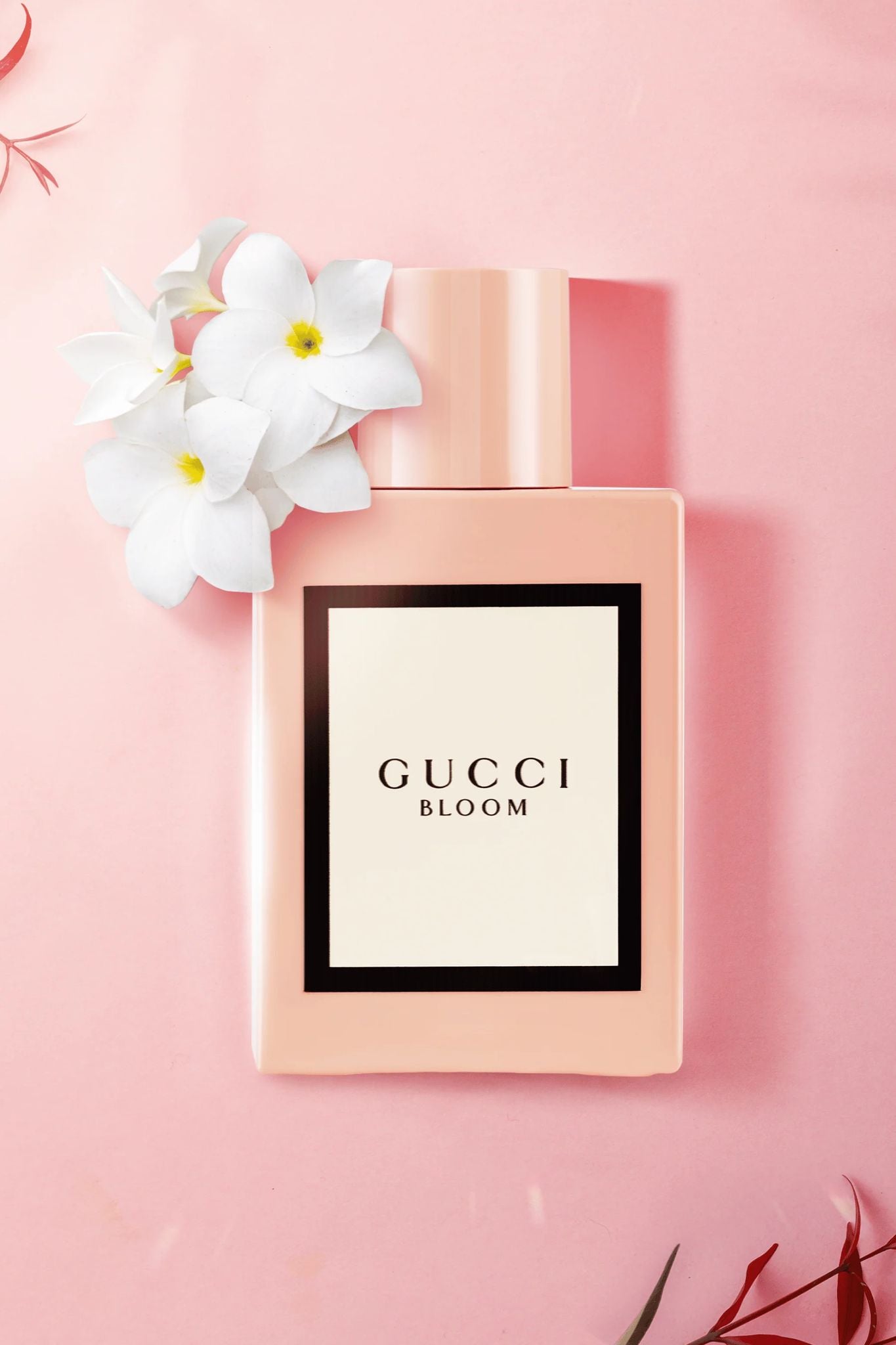 Gucci Bloom